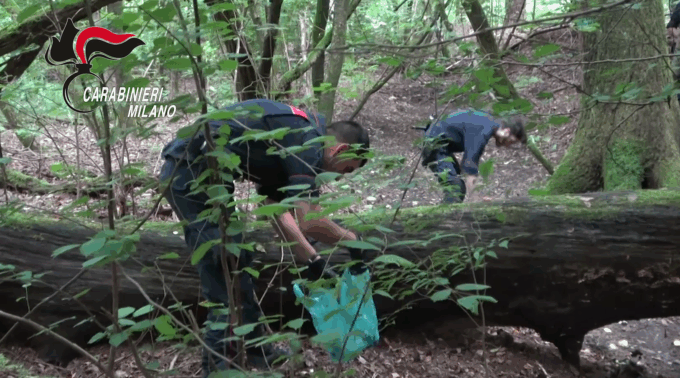 Spaccio nel Parco delle Groane, quattro arresti a Limbiate e Desio