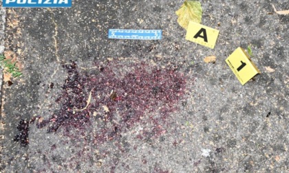 Violenze dei latinos al Nei, per il giudice non fu tentato omicidio