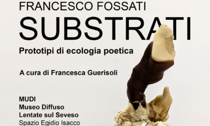 Il Mudi presenta la mostra “Substrati” di Francesco Fossati