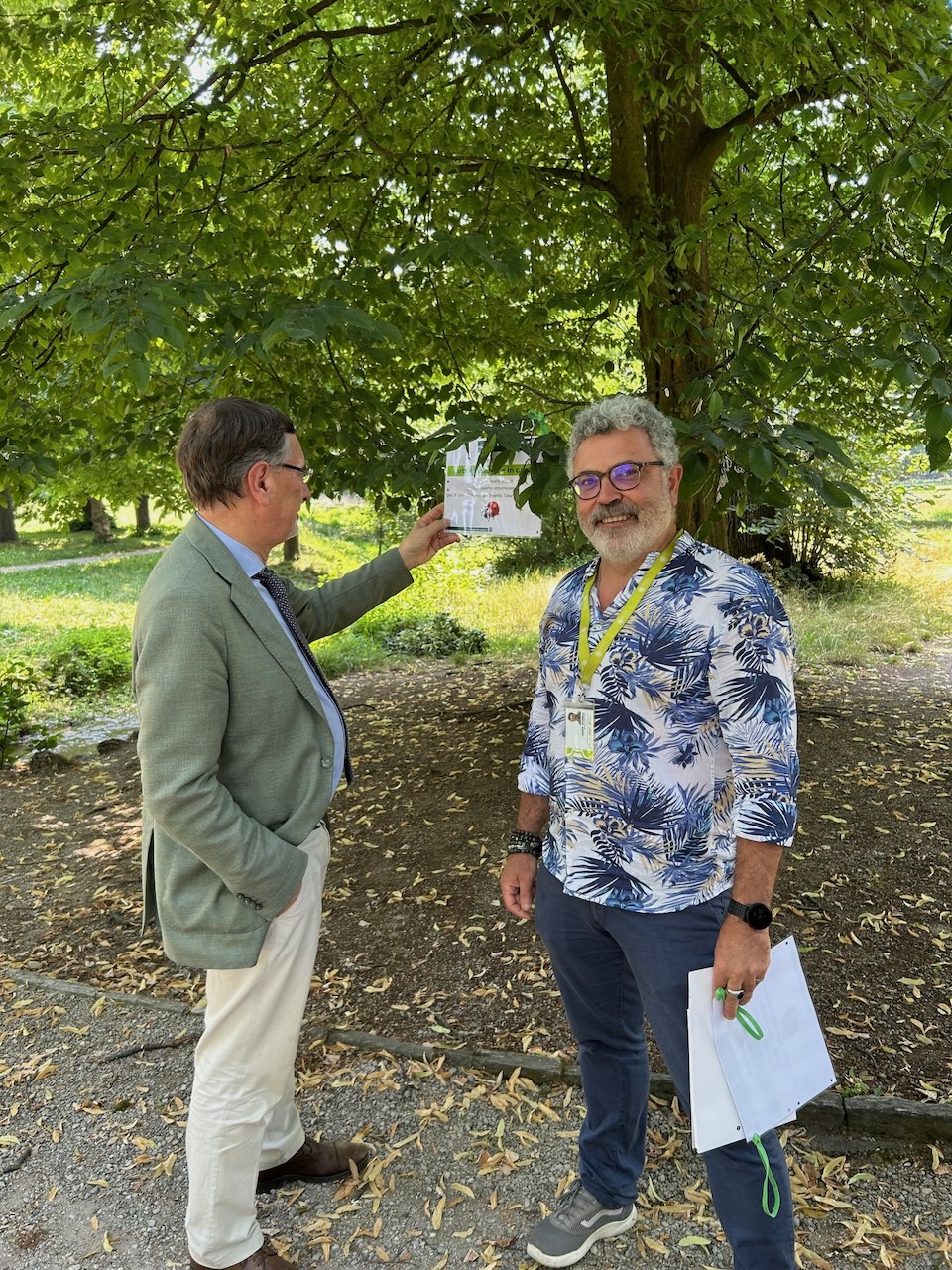 Monza Villa Reale 10. 11. Rilascio di esemplari di Cryptolaemus nei Giardini Reali (lotta biologica alla Takahasia japonica)