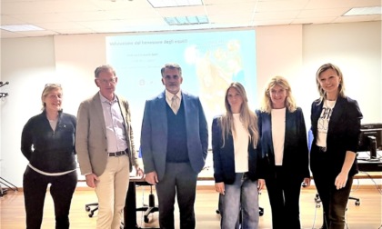 Ats Brianza al lavoro per nuove linee guida per la tutela del benessere dei cavalli