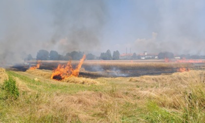 Incendio in un campo, paura lungo la Sp215