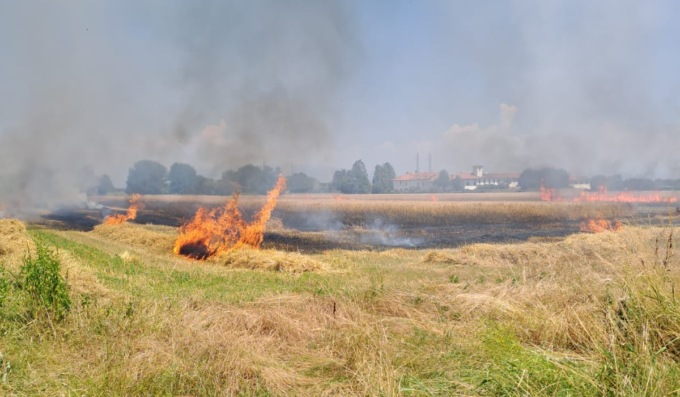 Incendio in un campo, paura lungo la Sp215