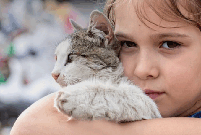 Anche Desio aderisce alla campagna estiva anti abbandondo ENPA