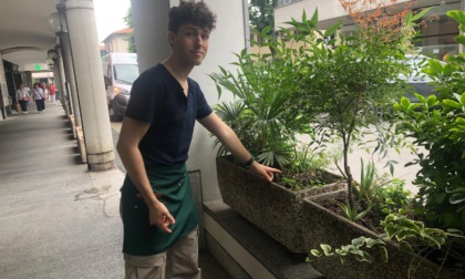 Tornano a colpire i ladri di fiori