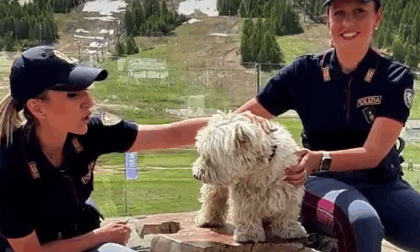 La campagna della Polizia di Stato contro l'abbandono degli animali