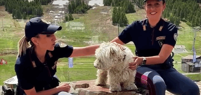 La campagna della Polizia di Stato contro l’abbandono degli animali