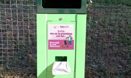 Al via la campagna per il corretto comportamento dei proprietari di cani