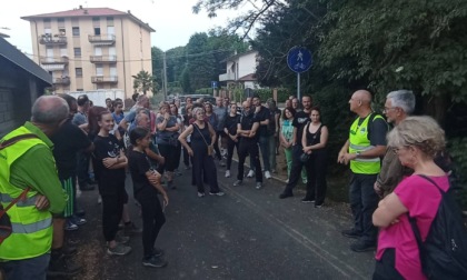 Lucciole e allocchi, oltre 70 persone alla scoperta degli animali notturni della Brughiera