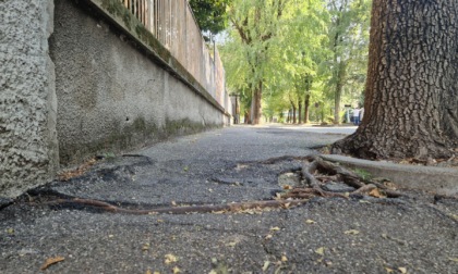 Marciapiede "killer" davanti al Centro Pensionati: «Sindaco, sistema le buche"
