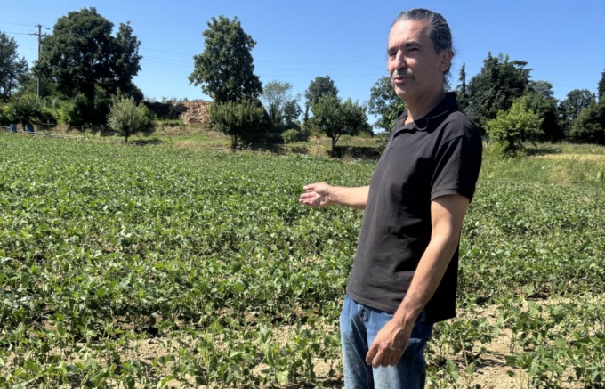 Temporale «impazzito» distrugge il raccolto