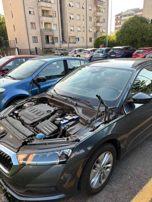auto cannibalizzate via Gadda Monza