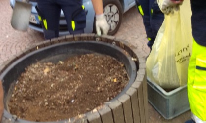 Rifiuti biologici e siringhe trovati nelle fioriere di piazza della Chiesa