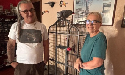 Dopo sette anni il pappagallo Gino è tornato a casa