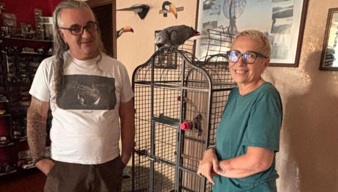 Dopo sette anni il pappagallo Gino è tornato a casa