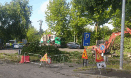 Bufera sulla nuova rotonda che fa abbattere 17 piante. Minacce di morte al sindaco
