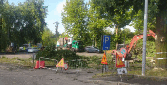 Bufera sulla nuova rotonda che fa abbattere 17 piante. Minacce di morte al sindaco