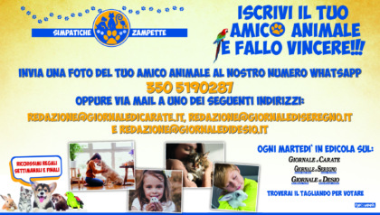 Simpatiche Zampette, torna la sfida estiva