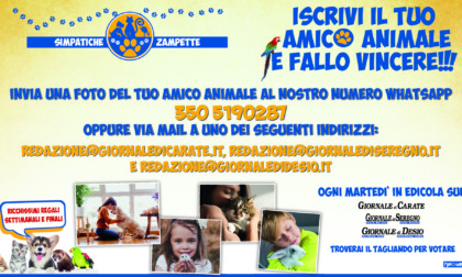 Simpatiche Zampette, torna la sfida estiva