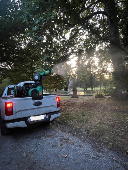 Un trattamento sperimentale contro la cocciniglia giapponese