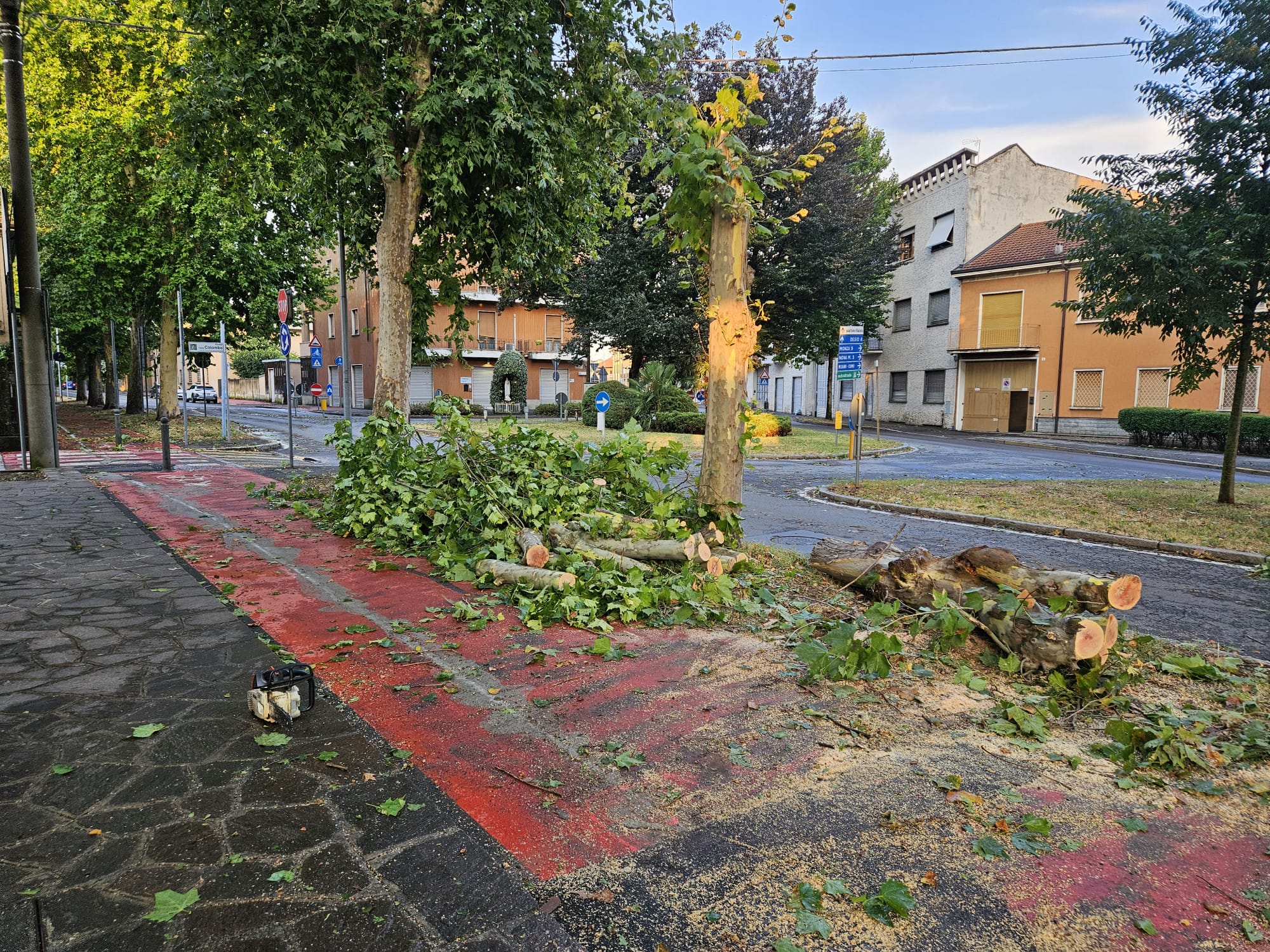 Varedo maltempo alberi caduti