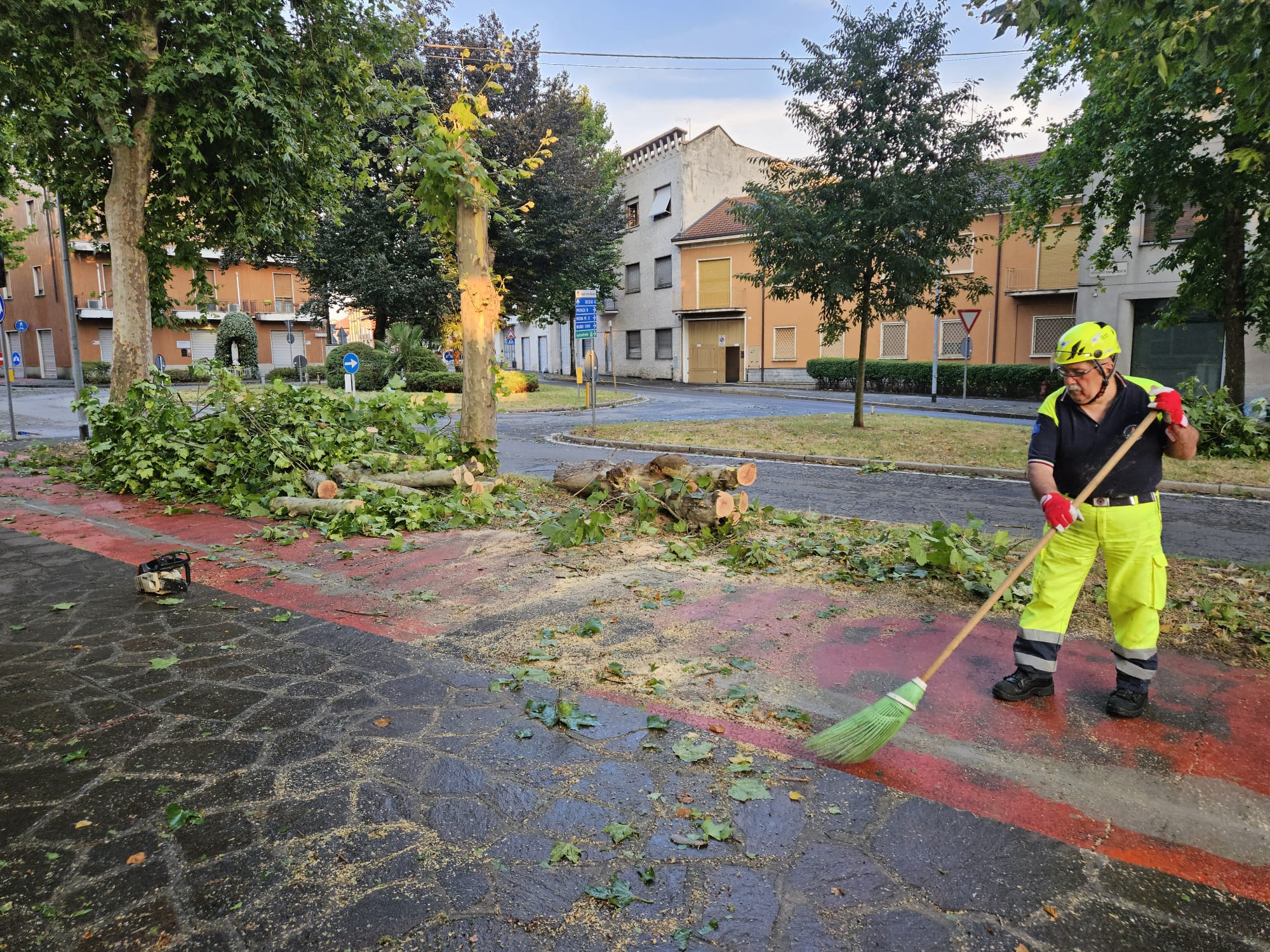 Varedo maltempo alberi caduti