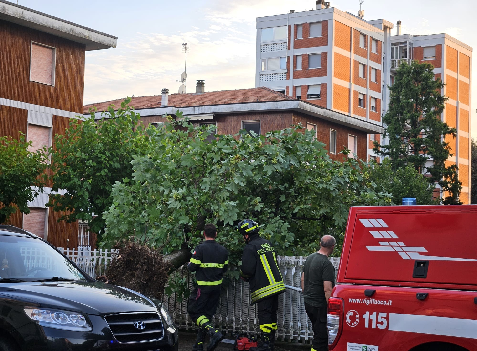 Varedo maltempo alberi caduti