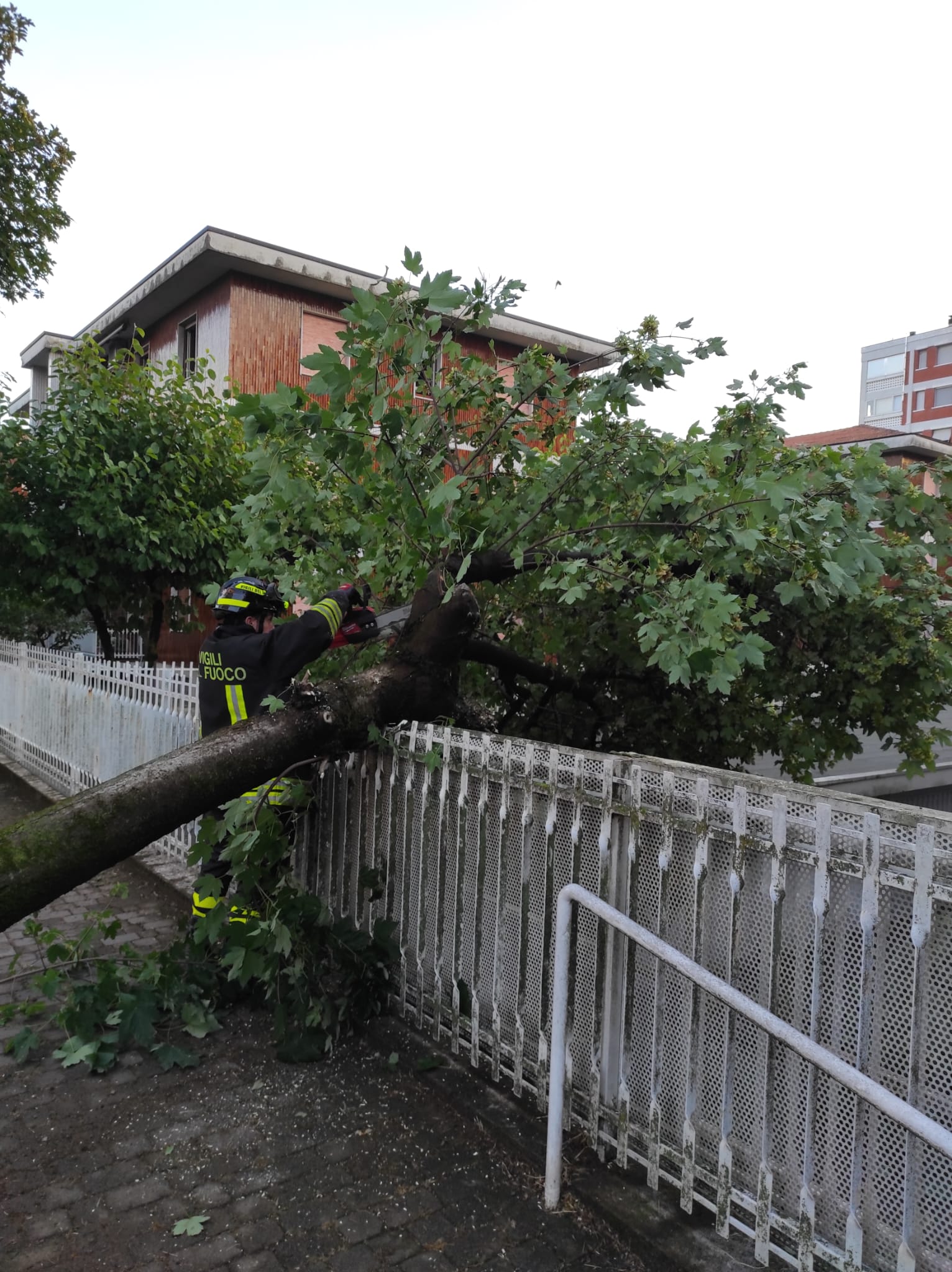 Varedo maltempo alberi caduti