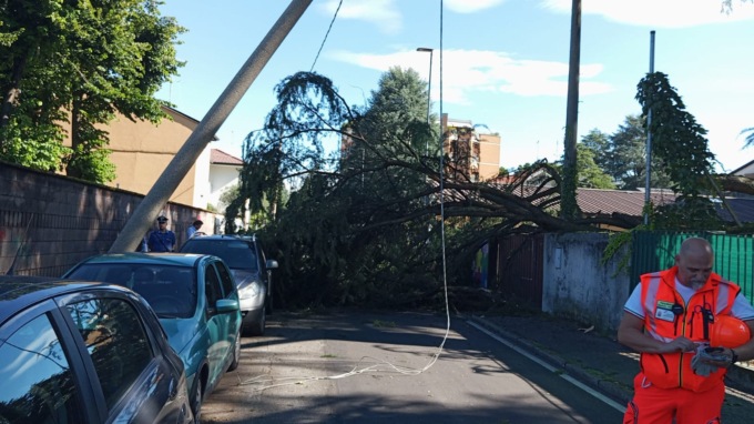L’albero crolla sulla strada, due donne colpite dai rami e soccorse dal 118