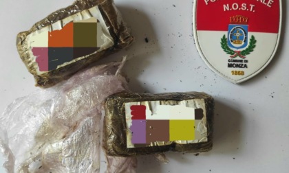 Sequestrati panetti di hashish grazie all'unità cinofila