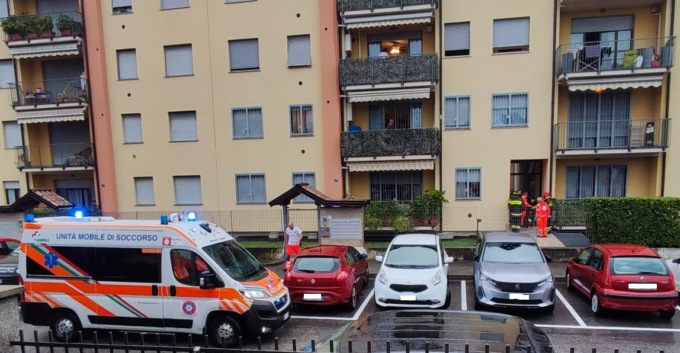 Per soccorrere un gatto un pompiere finisce in ospedale