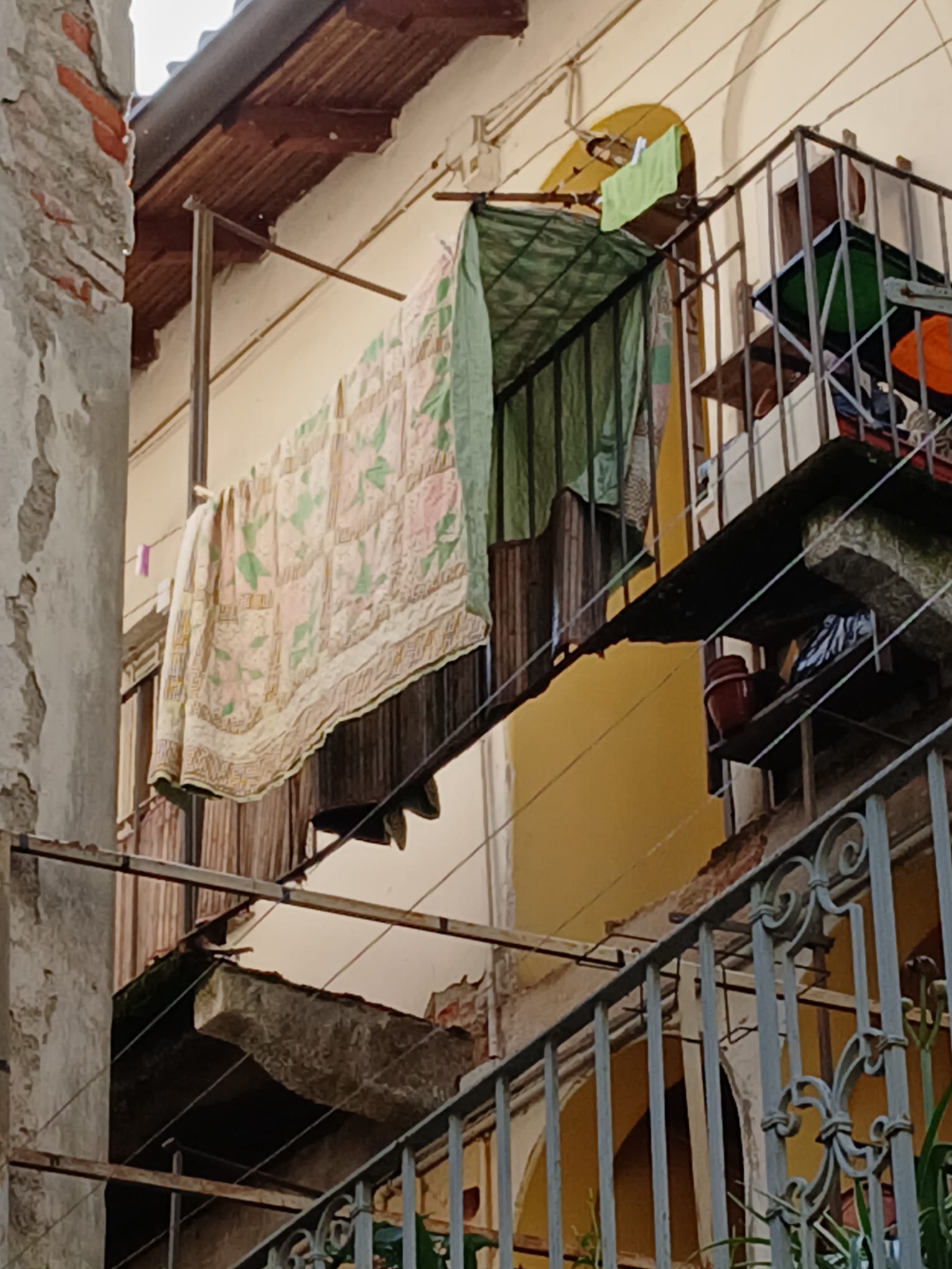 foto5
