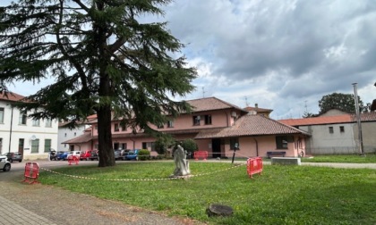 Un agronomo per valutare le piante danneggiate dal maltempo
