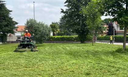 Manutenzione del verde: tutti gli interventi della stagione