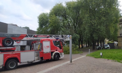 Grosso ramo cade sull'area pedonale, tragedia sfiorata