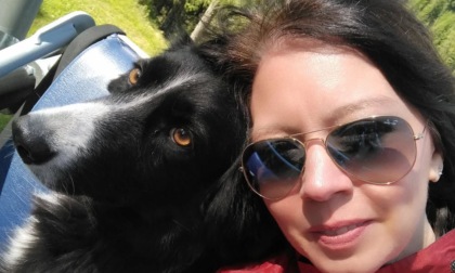 Appello per ritrovare "Lisa", il Border Collie dell'ex consigliera e segretaria cittadina del Pd
