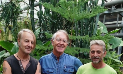 Il floral designer di Carate rappresenterà l'Italia ai mondiali in Olanda