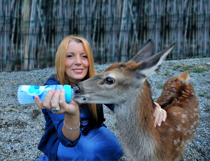 Incidenti con animali, l’omissione di soccorso può diventare maltrattamento