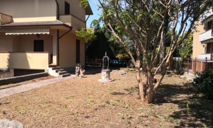 Villa sequestrata alla mala, la riqualificazione parte dal giardino