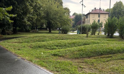 In servizio due ditte per la cura del verde in città