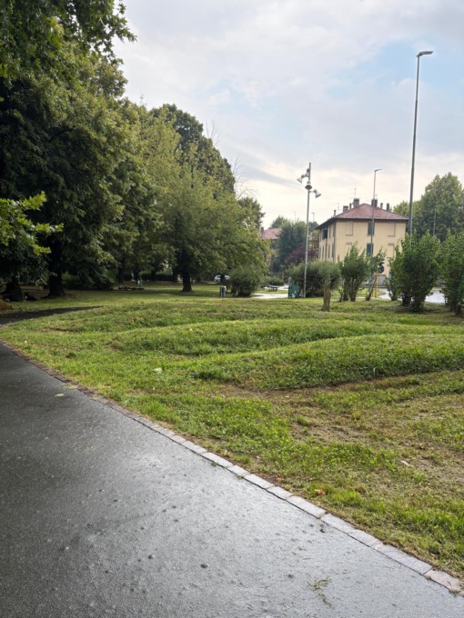 In servizio due ditte per la cura del verde in città