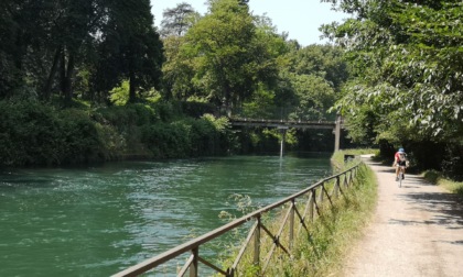 Passeggiate lungo il Naviglio Martesana