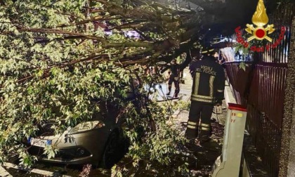 Maltempo in Lombardia, anche la Brianza tra i territori più colpiti