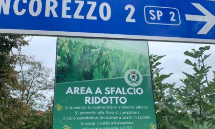 “Le aree a sfalcio ridotto? Una presa per il c…”
