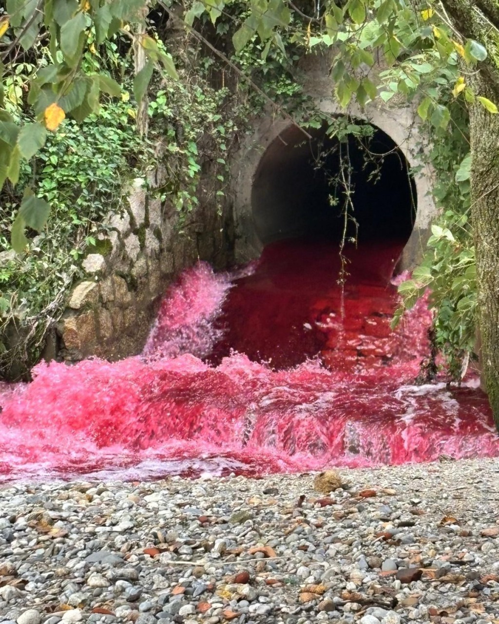 Il Lambro si tinge rosso: “Verifiche in corso per accertare le cause”