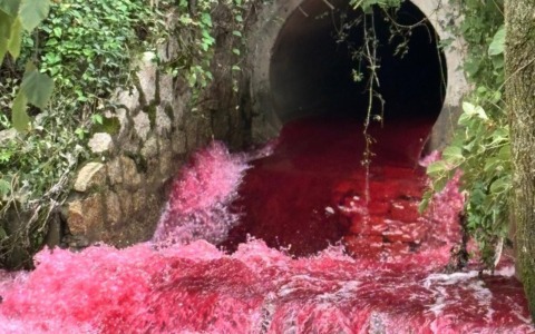 Il Lambro si tinge rosso: “Verifiche in corso per accertare le cause”
