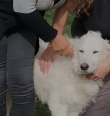 Tra Isotta e Sardino è stato amore a prima vista