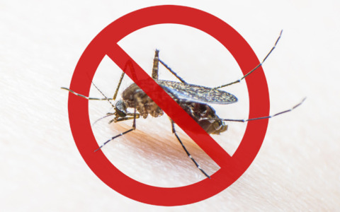 Disinfestazione per un sospetto caso di Dengue: intervento da stasera a giovedì