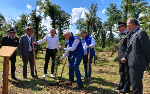 Gran Premio: in Autodromo piantato un albero per ogni pilota di F1