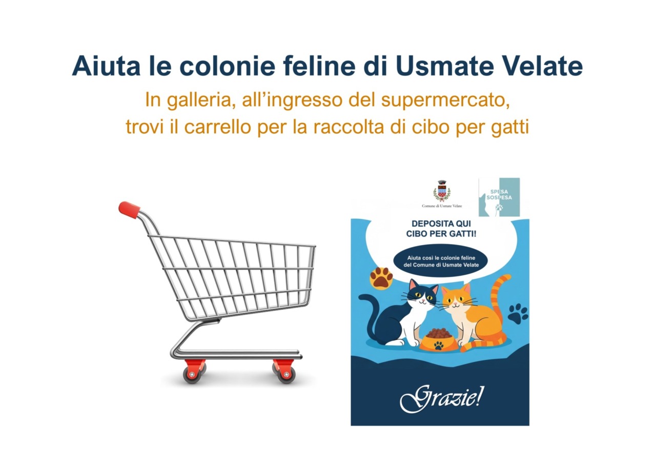 Al via la raccolta di cibo per le colonie feline